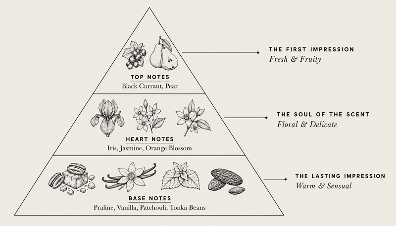 Notes Pyramid